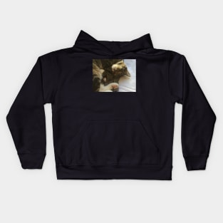 Henry Cat the Cutest Cat Sleeping Kids Hoodie